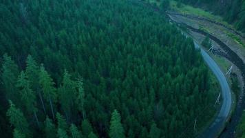 Visualizza a partire dal il altezza di montagne coperto con conifero foresta e mattina nebbia video