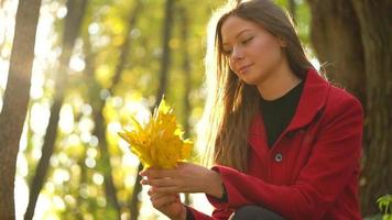 mooi meisje zit in de herfst Woud en verzamelt een boeket van geel esdoorn- bladeren. langzaam beweging video