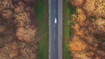 ver desde el altura de el tráfico en el la carretera rodeado por otoño bosque video