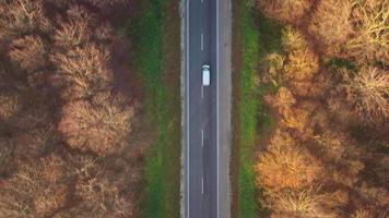 Visão a partir de a altura do a tráfego em a estrada cercado de outono floresta video