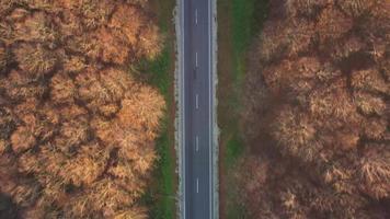 Visualizza a partire dal il altezza di il traffico su il strada circondato di autunno foresta video