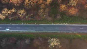 Visualizza a partire dal il altezza di il traffico su il strada circondato di autunno foresta video