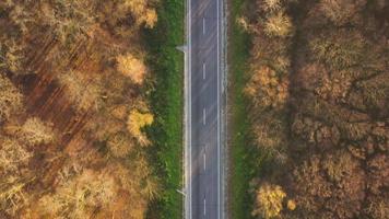 Visão a partir de a altura do a tráfego em a estrada cercado de outono floresta video