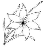 Free Vector line art and hand drawing flower art black and white flat design simple flower