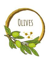 Watercolor frame with a branch of green olives. Drawn by hand. For design labels, stickers. vector