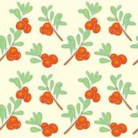Pattern with branches and berries of cranberries, lingonberries, hand drawing, no outline. vector