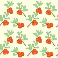 Pattern with branches and berries of cranberries, lingonberries, hand drawing, no outline. vector