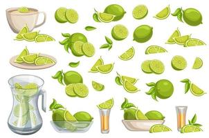 Vector image of a set of limes in different combinations. Cartoon style. EPS 10
