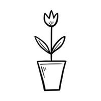 Hand drawn flower plant with pot vector