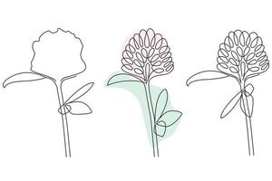 Clover flower set outline with pink and light green background and no background vector