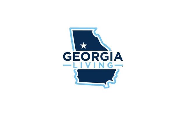 Georgia State Vector Art, Icons, and Graphics for Free Download