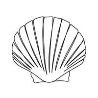 One line drawing of a shell. Hand drawn outline marine illustration of seashell. vector