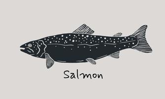 Hand drawn salmon fish in sketch style. Simple vector isolated illustration on beige background