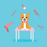 Dog grooming bath, great design for any purposes. Beauty concept. Adorable pet. Pet wash, grooming. vector