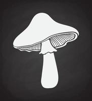 Silhouette of mushroom on blackboard vector