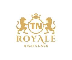 Golden Letter TN template logo Luxury gold letter with crown. Monogram alphabet . Beautiful royal initials letter. vector