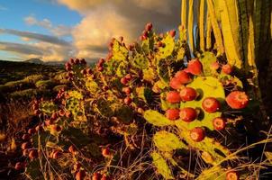 Scenic rural landscape photo