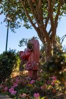 Red Fire Hydrant sites in flowers photo