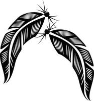 Black And White Feathers, Vector Image