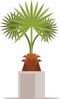 Vector Image Of A Tropical Plant In A Pot