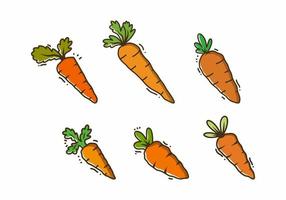 ilustración diseño de naranja Zanahoria vector