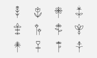 Flower line icon set. Spring plants, blossoms and wildflowers. Botanical signs elements. Vector illustration