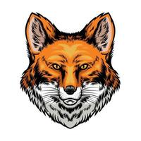 fox head in hand drawn style vector