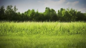 Free photo park grass, generat ai