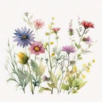 free meadow flowers water color, pastel ,white background , generat ai photo