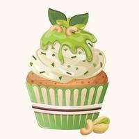 Eco green pistachio cupcake with white cream, sprinkles, green topping, nuts and mint leaves. Cute cartoon healthy muffin with cashew and pistachio. Illustration for confectioner or pastry shop vector