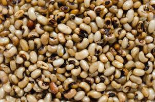 Roasted Soy Beans photo