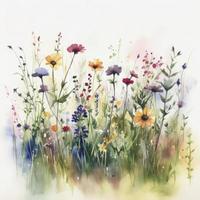 free meadow flowers water color, pastel ,white background , generat ai photo