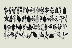 Simple foliage clipart set including various leaf illustrations vector