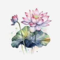 free lotus flowers water color, pastel ,white background , generat ai photo