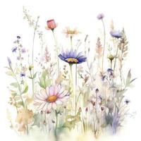 free meadow flowers water color, pastel ,white background , generat ai photo