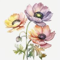 free anemones flowers water color, pastel ,white background , generat ai photo