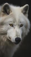 un asombroso de cerca de un majestuoso blanco lobo, generar ai foto