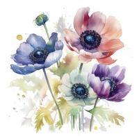 free anemones flowers water color, pastel ,white background , generat ai photo