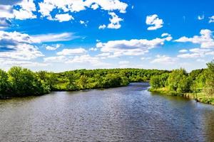 Beautiful grass swamp reed growing on shore reservoir in countryside photo