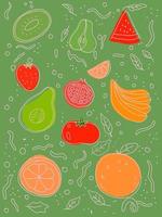 fresh fruit vector doodle hand drawn