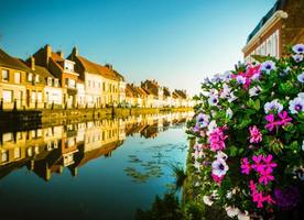 Calm L'aa river canal water with blooming flowers bouquet and line of modern traditional french architecture houses in saint-omer town photo