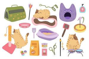 vector conjunto de accesorios y aseo herramientas para gatos linda mascota gato. mascota y mascota Tienda equipo. rascarse correo, gato camada caja, juguetes, alimento, transportador, fluffer y tijeras, suave asiento, platos.