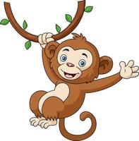 Cute monkey cartoon hanging in tree branch vector