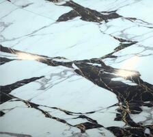 Marble floor background with simple pattern and flowers. Simple marble floor texture. . photo