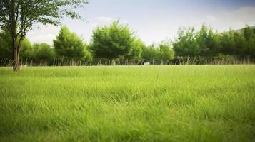 Free photo park grass, generat ai