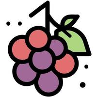 fruits bunch of purple grapes vector