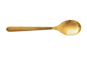 dorado cuchara aislado en un transparente antecedentes png