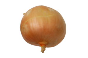 Vegetables onion isolated on a transparent background png