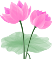 abstrait art lotus fleur png