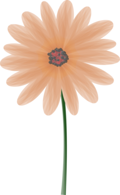 Flower Clip Art Pngs For Free Download Flower Clip Art Pngs For Free Download
